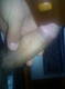 cazzo